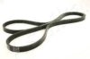 ASHIKA 112-4PK1710 V-Ribbed Belts